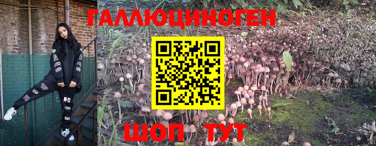 Псилоцибиновые грибы Psilocybe  Вход с VPN  Нефтекумск 